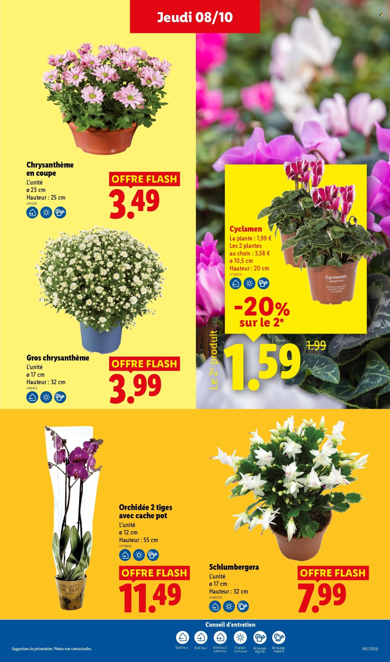 Catalogue Lidl - 08.10.2026 - 14.10.2026. Page 29