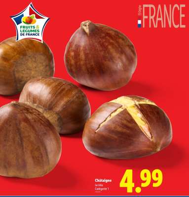 Chataigne