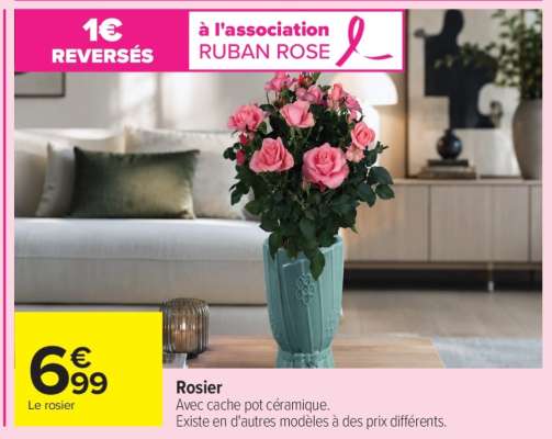 Rosier