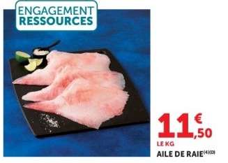 AILE DE RAIE