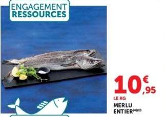 MERLU ENTIER