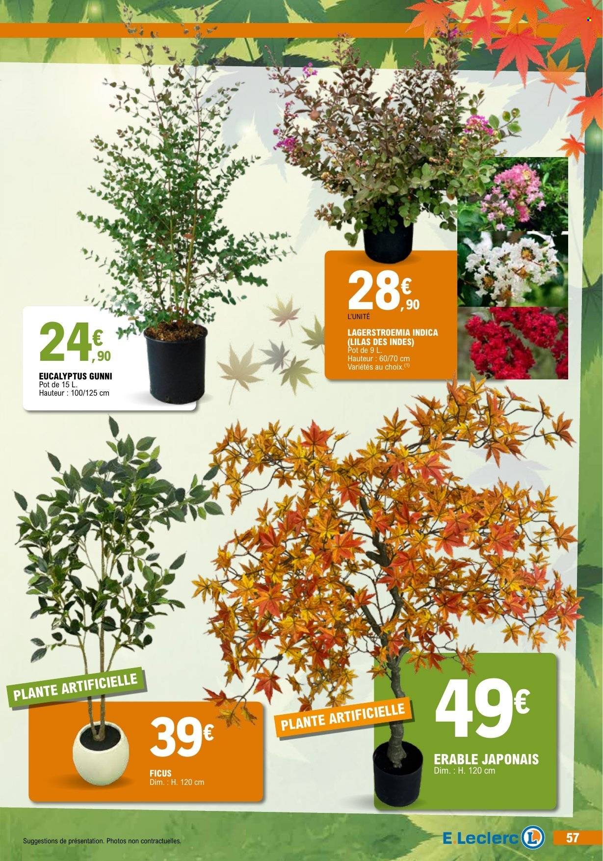Catalogue E.Leclerc - 06.10.2026 - 17.10.2026. Page 57