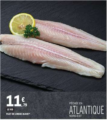 Filet de Lingue Bleue