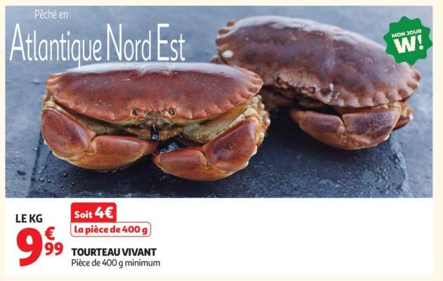 Tourteau Vivant