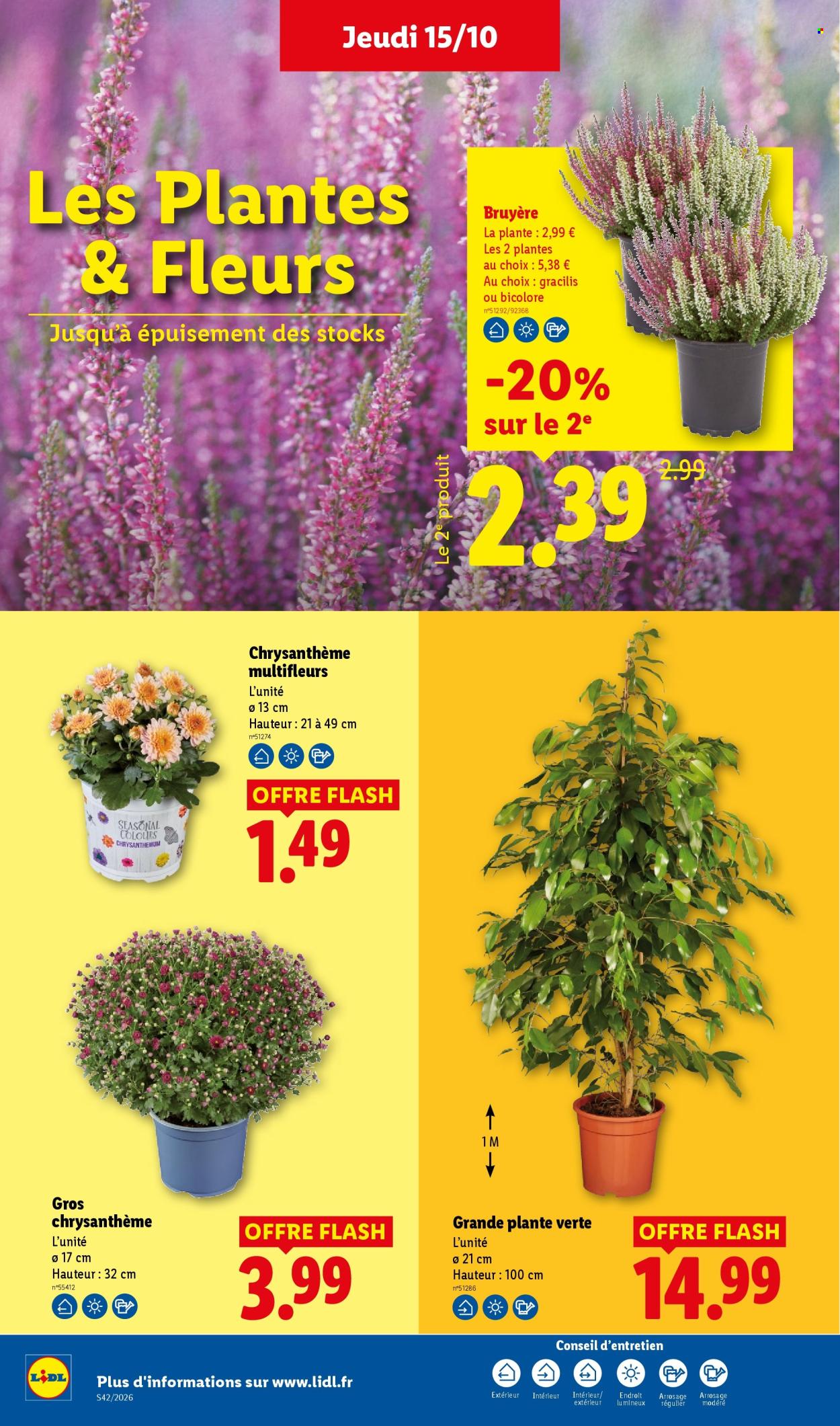 Catalogue Lidl - 15.10.2026 - 21.10.2026. Page 40