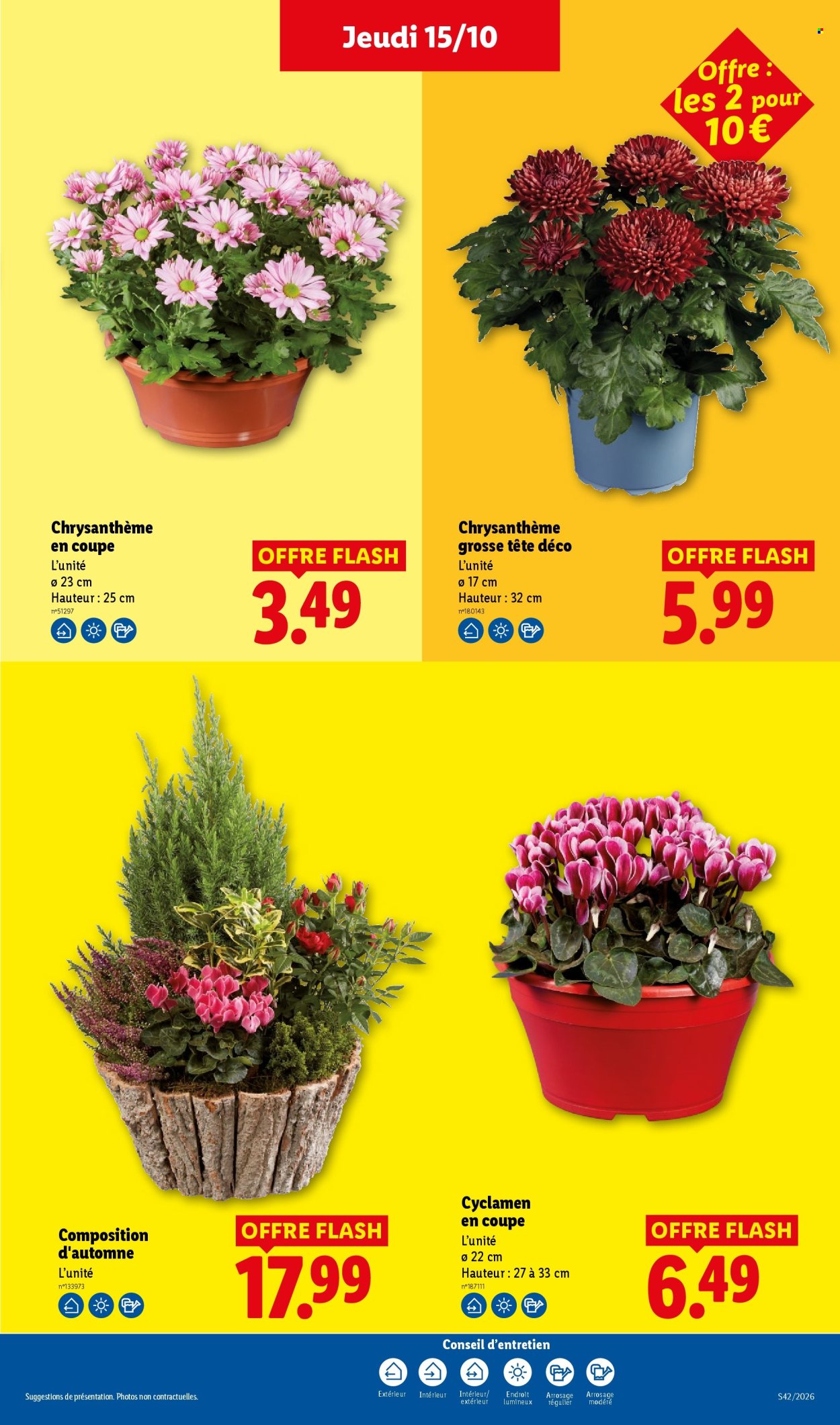 Catalogue Lidl - 15.10.2026 - 21.10.2026. Page 41