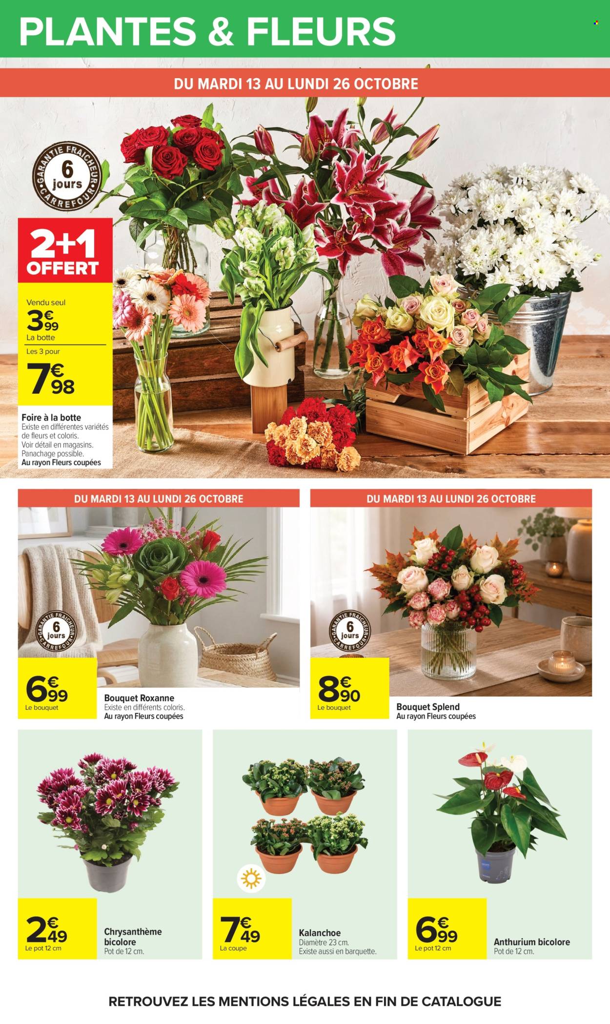 Catalogue Carrefour Hypermarchés - 13.10.2026 - 26.10.2026. Page 74