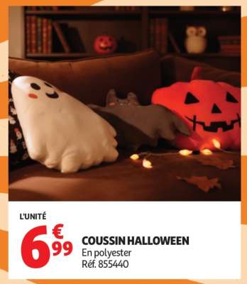 COUSSIN HALLOWEEN