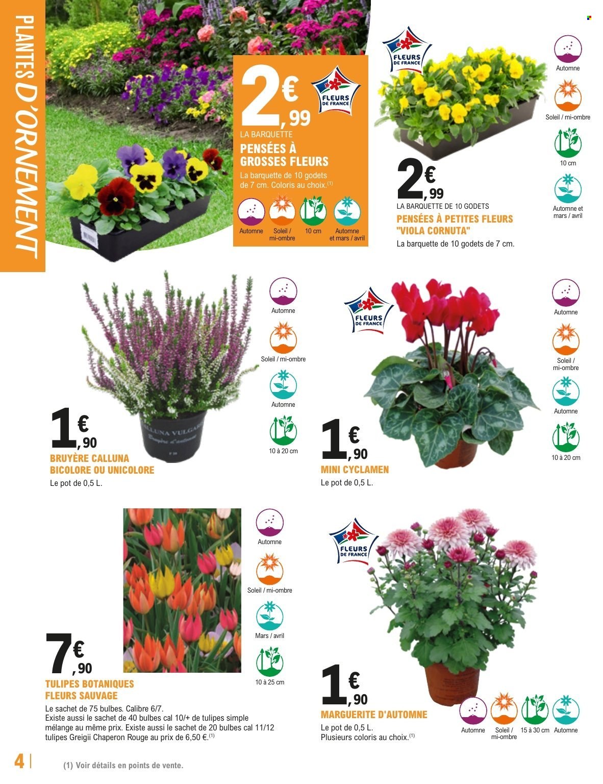 Catalogue E.Leclerc - 13.10.2026 - 24.10.2026. Page 4