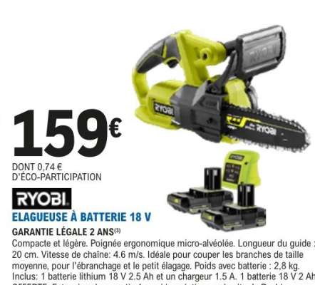 RYOBI ELAGUEUSE À BATTERIE 18 V