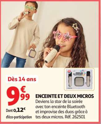 ENCEINTE ET DEUX MICROS