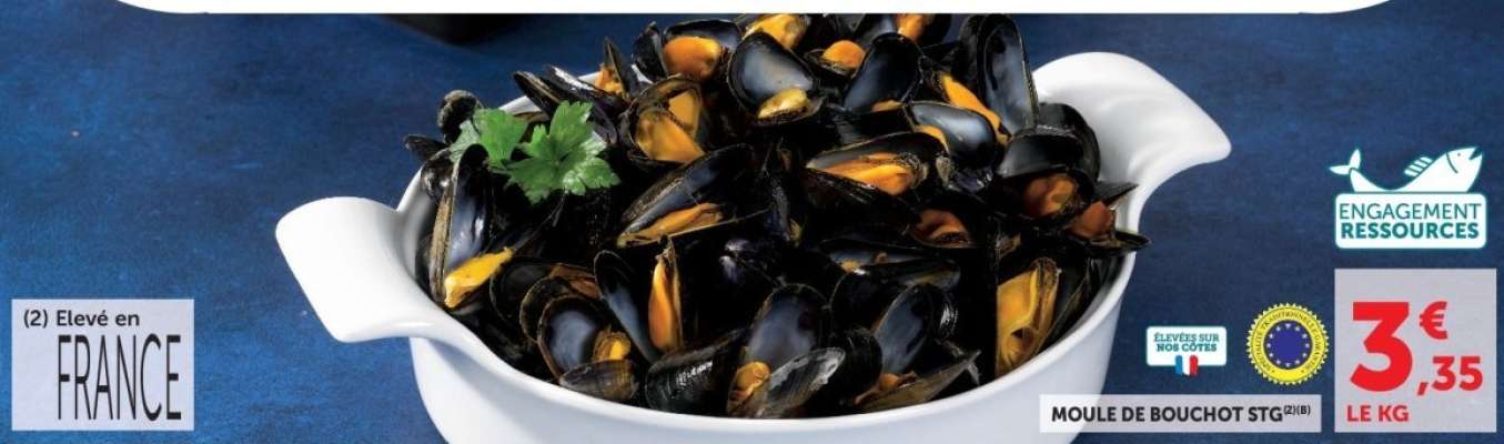 MOULES DE BOUCHOT