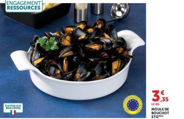 Moule de Bouchot STG