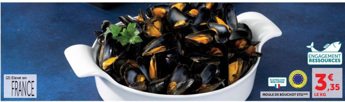 MOULES DE BOUCHOT
