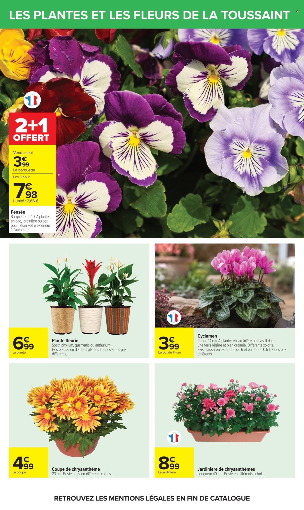 Catalogue Carrefour Hypermarchés - 20.10.2026 - 02.11.2026. Page 69