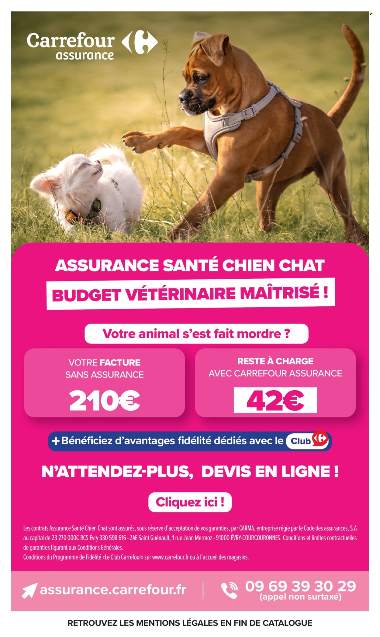Catalogue Carrefour Market - 20.10.2026 - 01.11.2026. Page 42