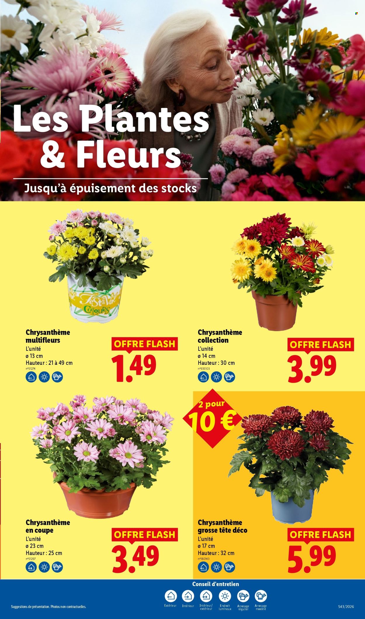 Catalogue Lidl - 22.10.2026 - 28.10.2026. Page 32