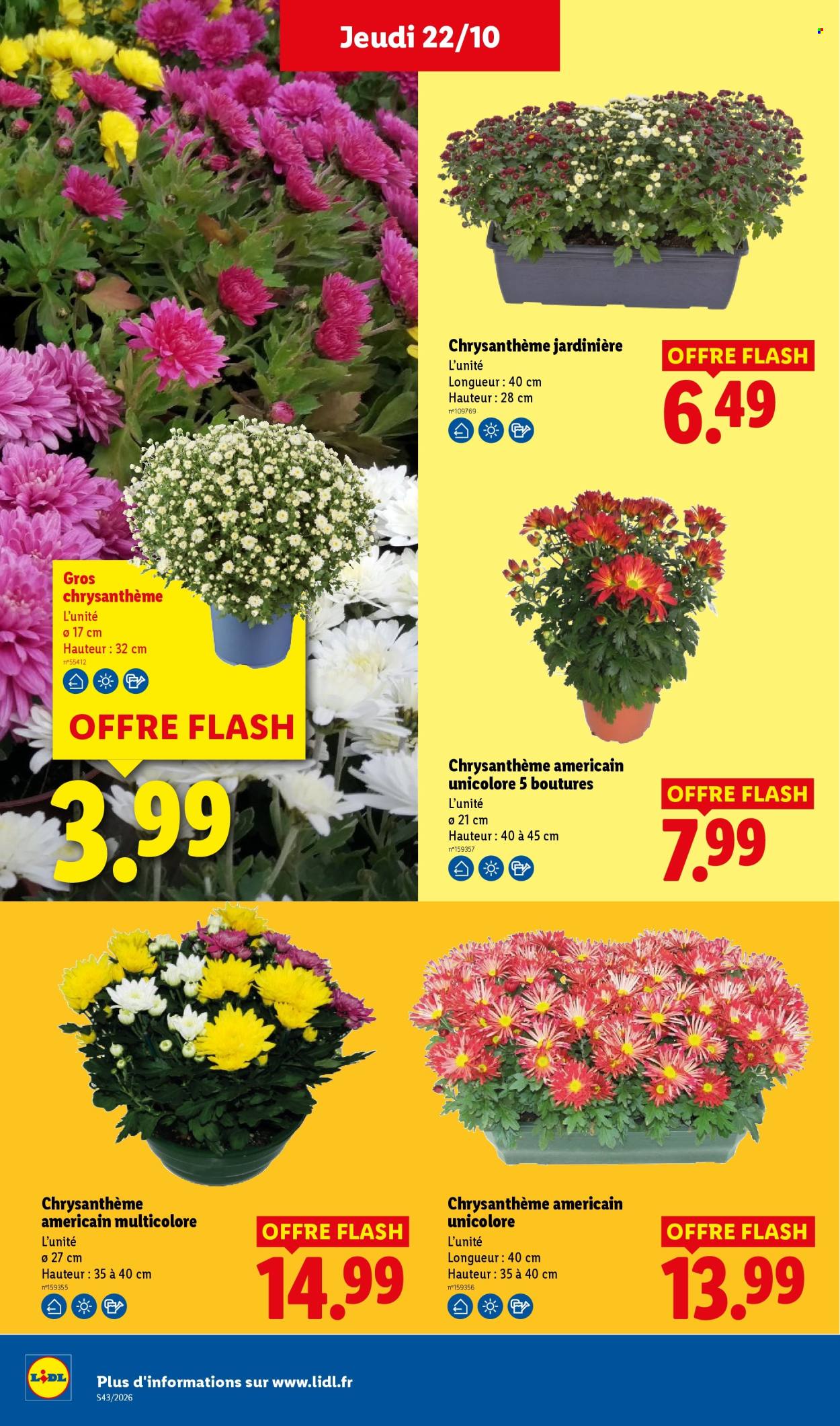 Catalogue Lidl - 22.10.2026 - 28.10.2026. Page 33