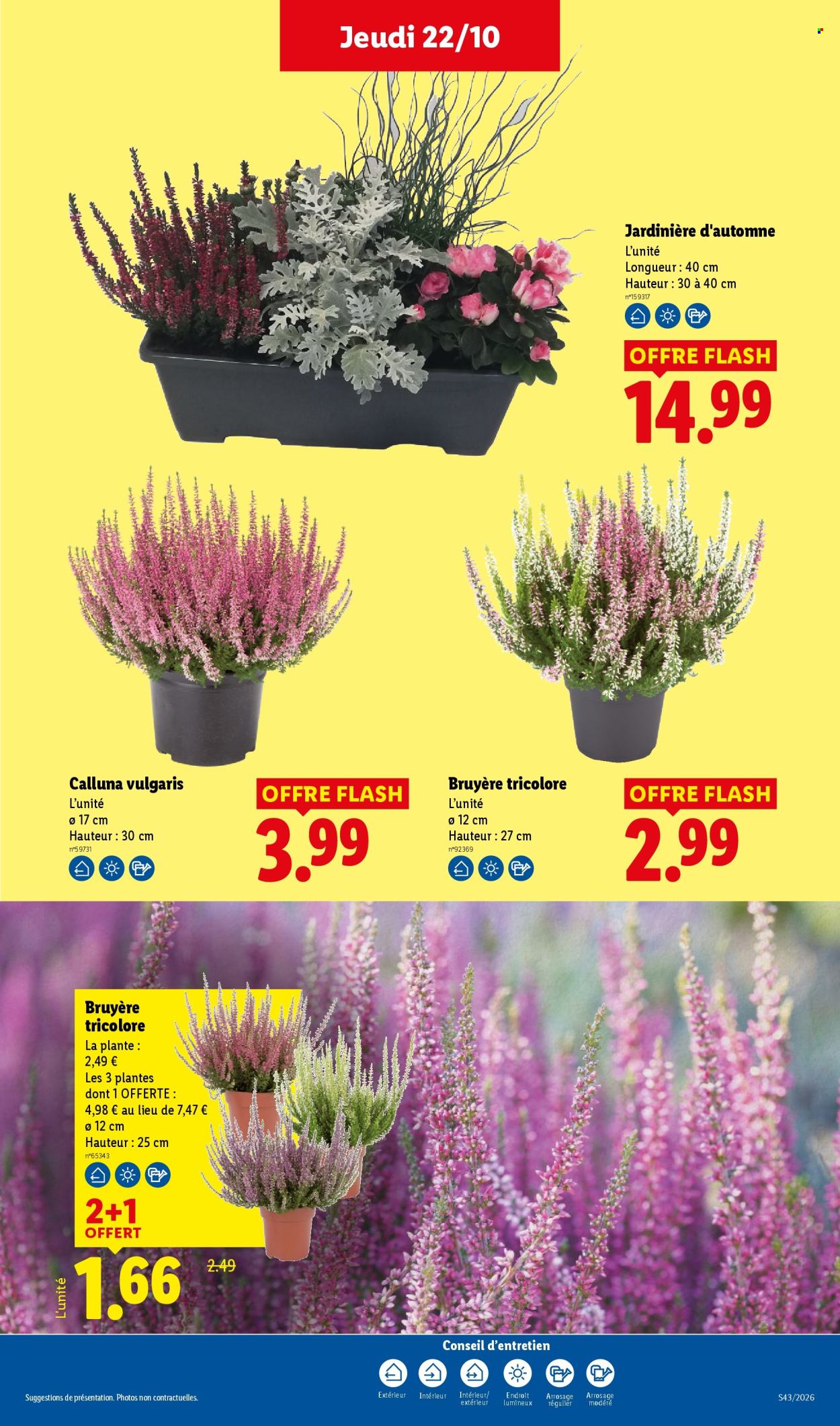 Catalogue Lidl - 22.10.2026 - 28.10.2026. Page 34