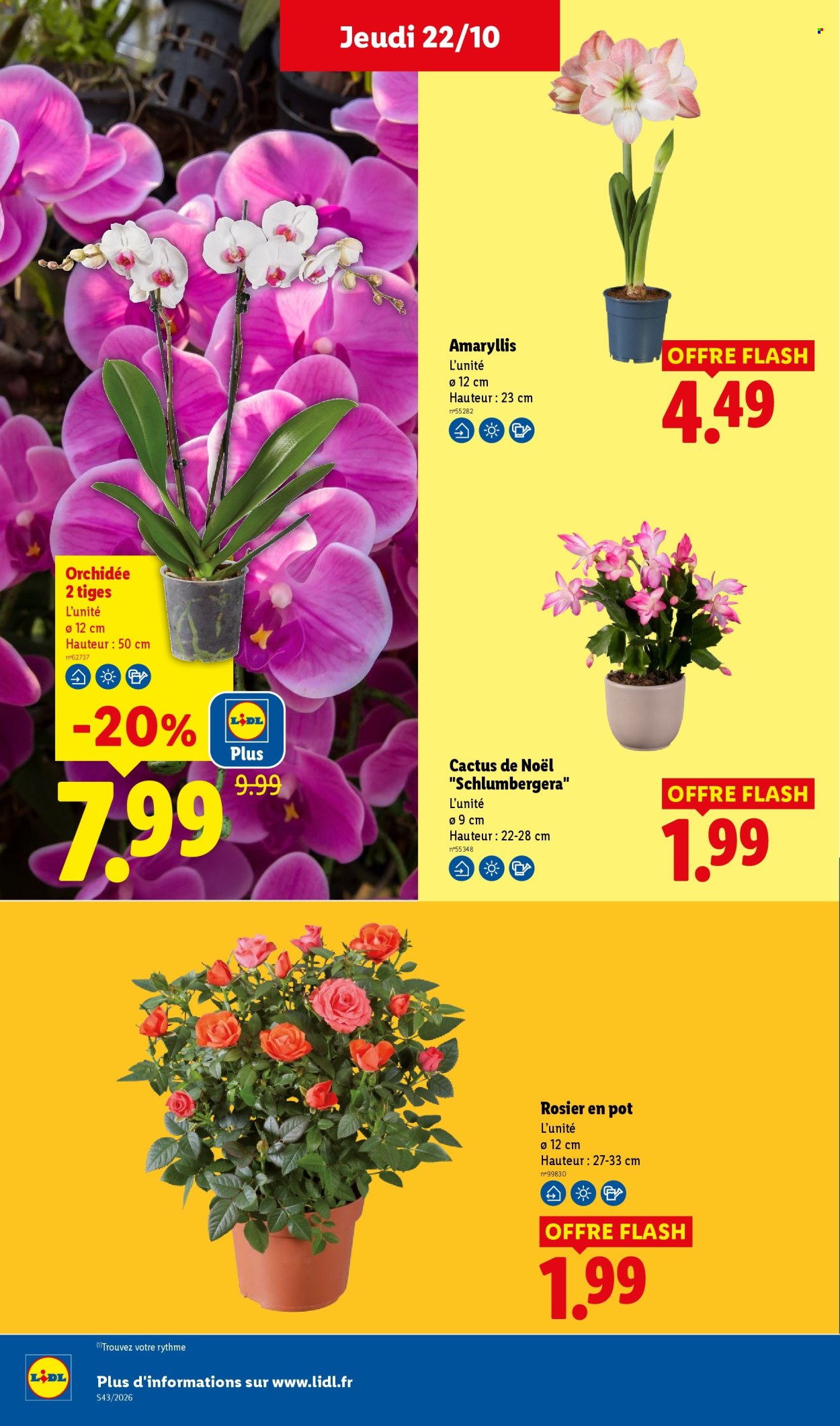 Catalogue Lidl - 22.10.2026 - 28.10.2026. Page 35