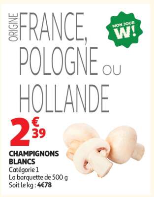 Champignons Blancs